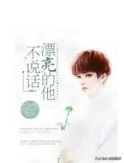 漂亮的他不说话作者微博,漂亮的他不说话小说文案