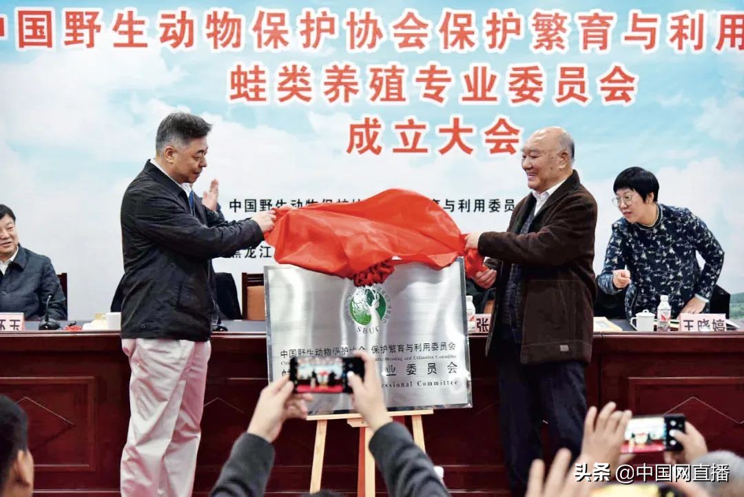 东北雪蛤到底怎么样,除了竹鼠还能养哪些东西