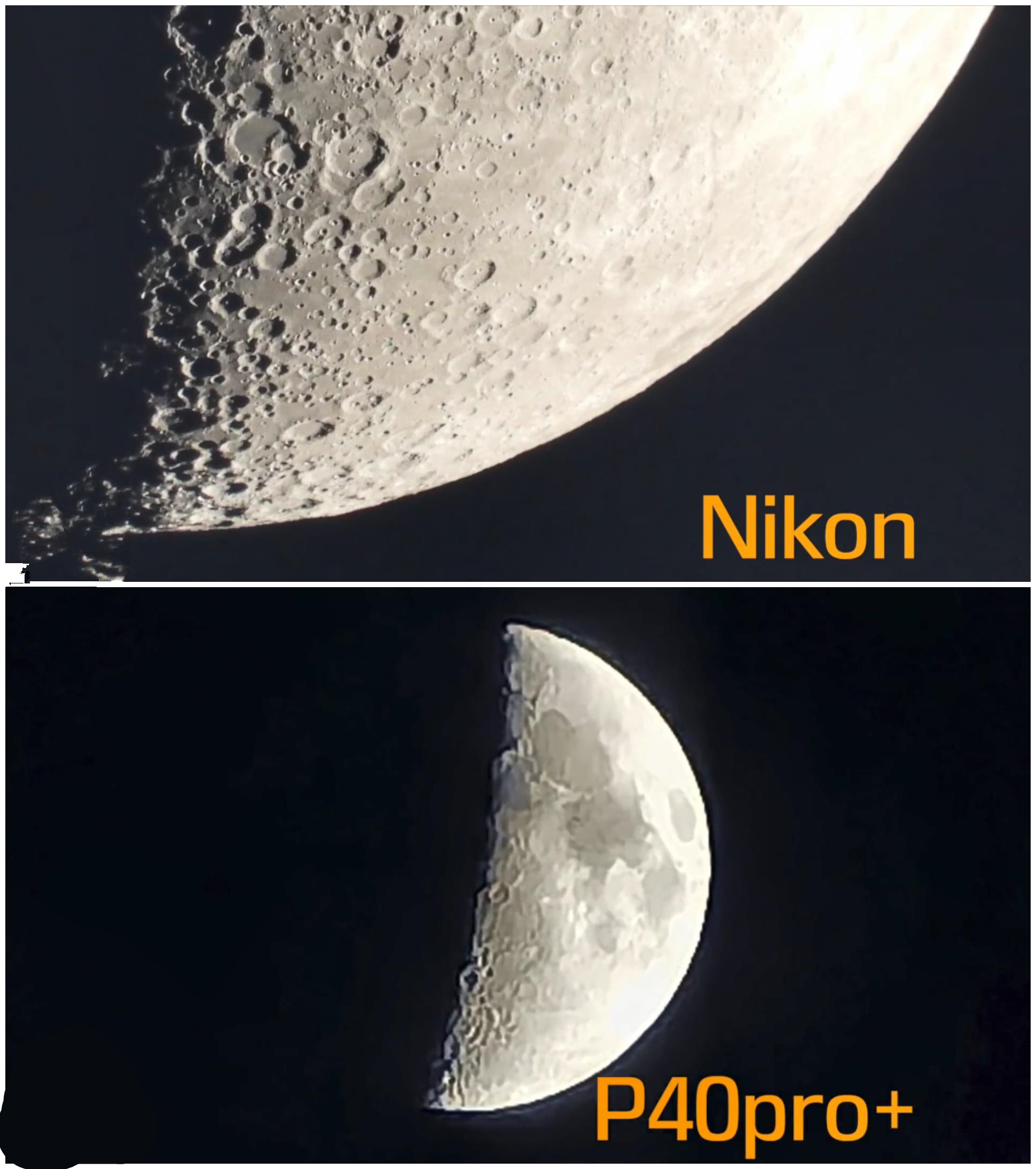 尼康p1000和华为p40拍照对比,尼康p1000对比华为p60