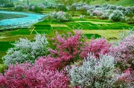 第一次去南疆旅游怎么玩,旅游去南疆好还是北疆好