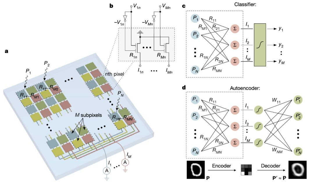 nature最新科研,nature最新研究证明