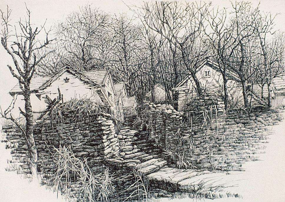 斑翅山鹑鹌鹑,鹌鹑山鹑