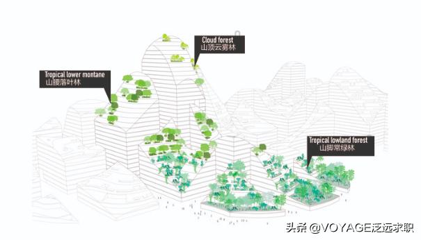 鹅厂这次可下血本了,鹅厂新厂