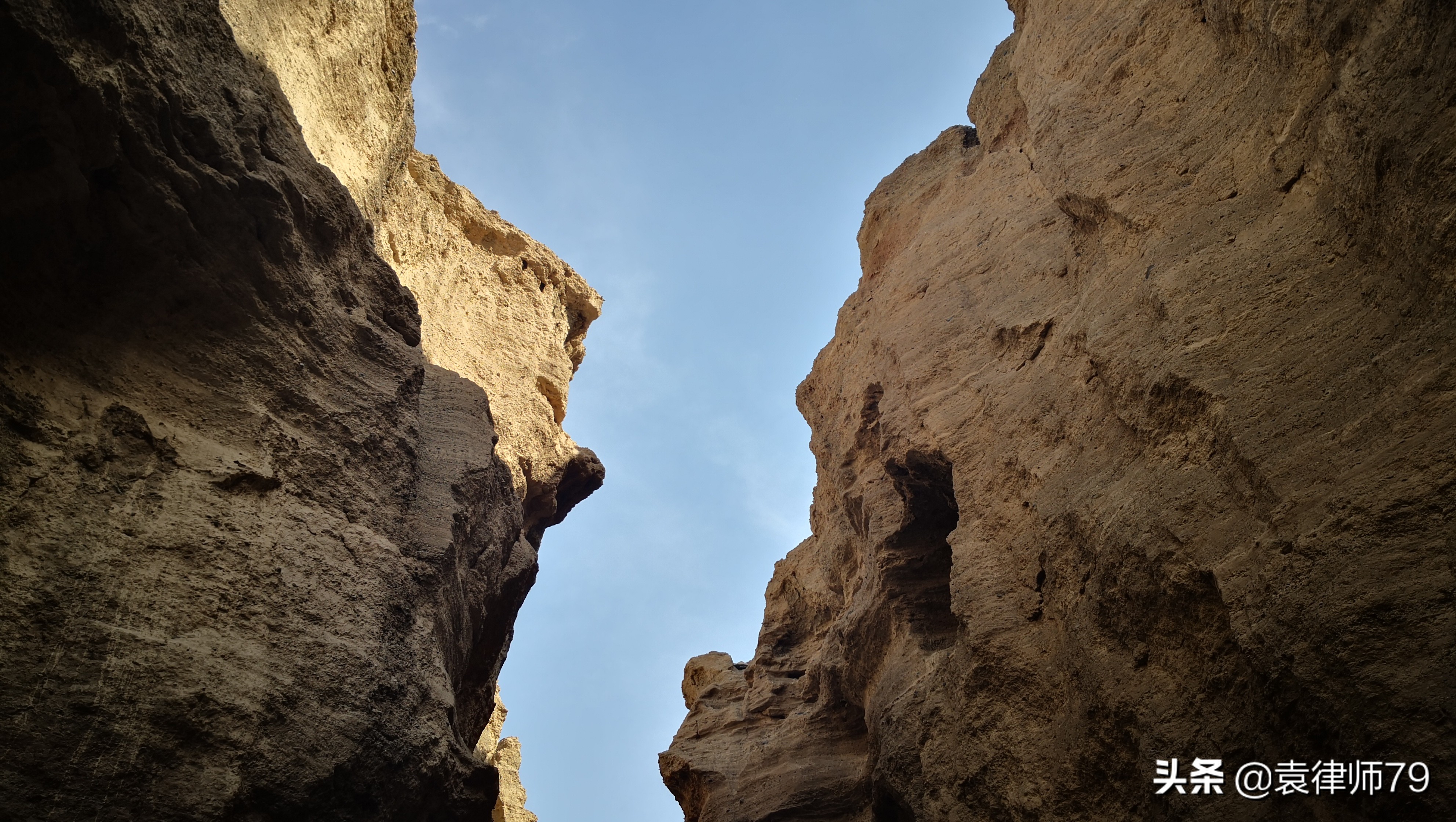 虚假诉讼是驳回起诉还是诉讼请求,已经判决的虚假诉讼如何去翻案