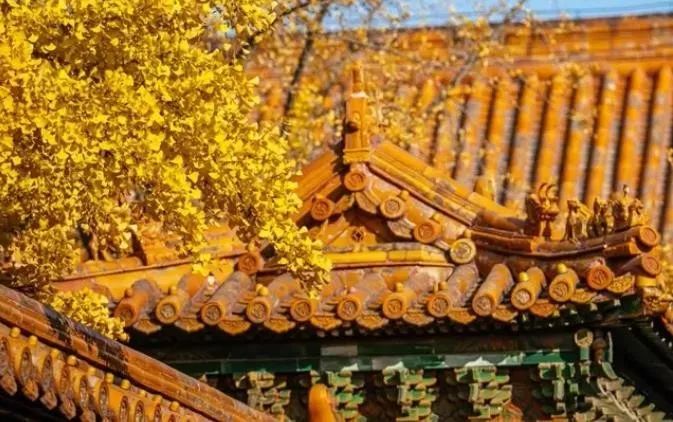 人健康的十大秘诀,10句健康箴言体勤益寿心静延年