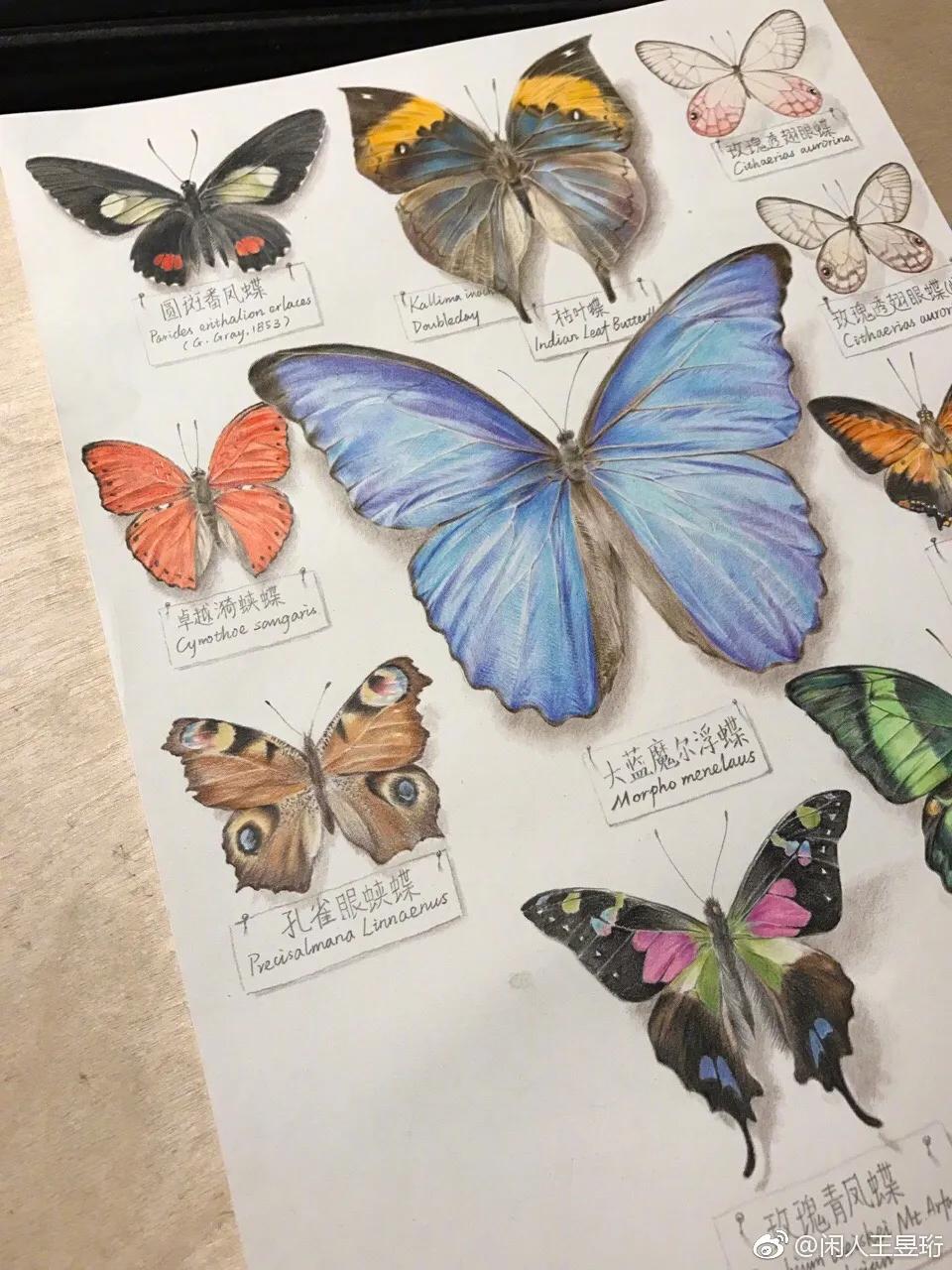 王昱珩不上班做到财富自由,最强大脑王昱珩清华毕业后不上班