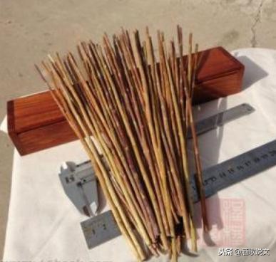 曾仕强50根蓍草算卦演示,蓍草占卜法四种结果