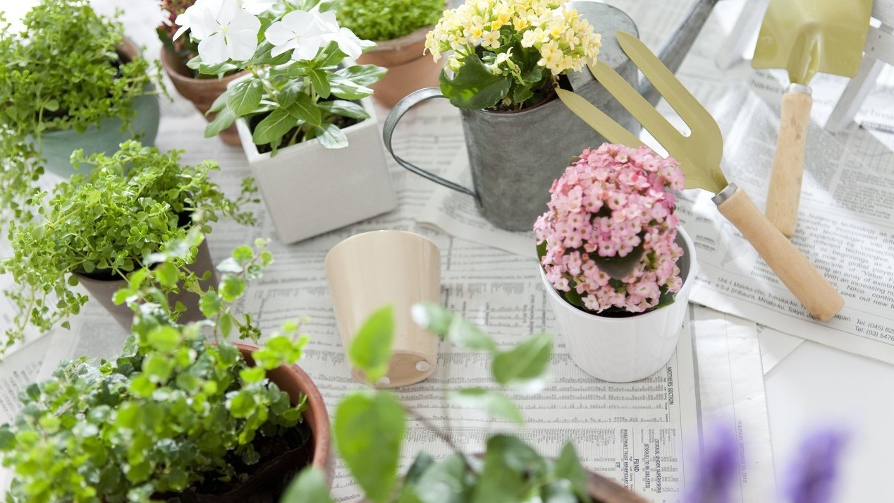 碎花风格装修,卧室布置碎花小清新