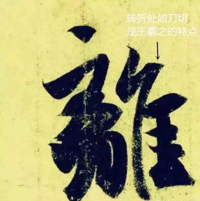 先把基础知识学好,先把基础练好再练技术动作