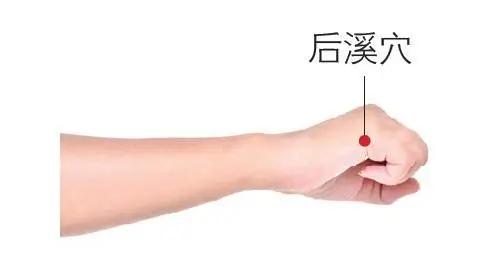 眼睛干涩容易疲劳吃什么药,眼睛干涩喝什么茶养肝明目