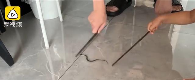 姣嶈泧瀛靛寲灏忚泧,姣嶈泧浜у皬铔囪寮傚叏杩囩▼