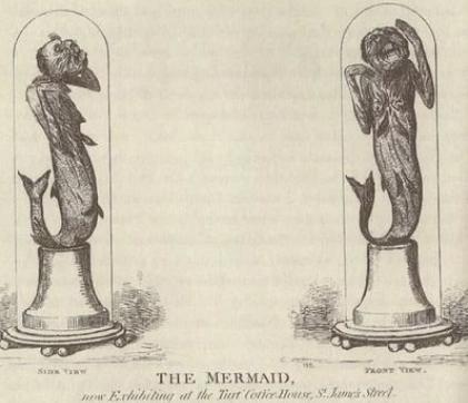 真正的日本龙标本,日本龙标本是不是真的