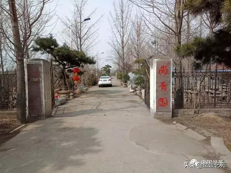 山东盆景艺术大师王桂华,金艳盆景精品欣赏