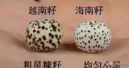 星月菩提十二大禁忌,新手星月菩提适合买多大的