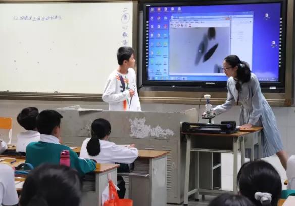 落实双减数学,落实双减第二课堂