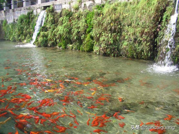 洛阳龙门石窟古色古韵,洛阳龙门石窟东方艺术的瑰宝