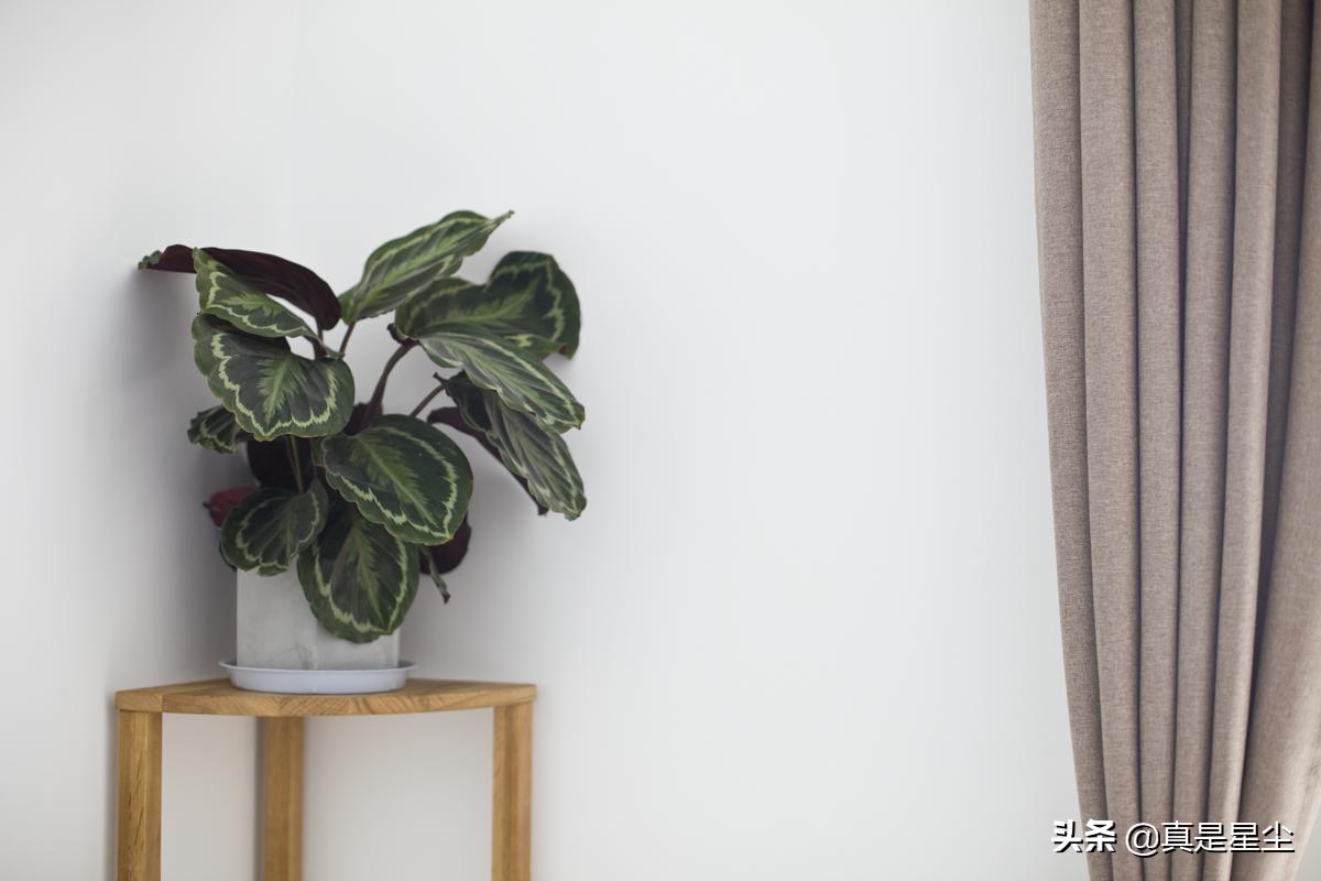 有钱买房子没钱装修的视频,没钱装一个房间的效果图