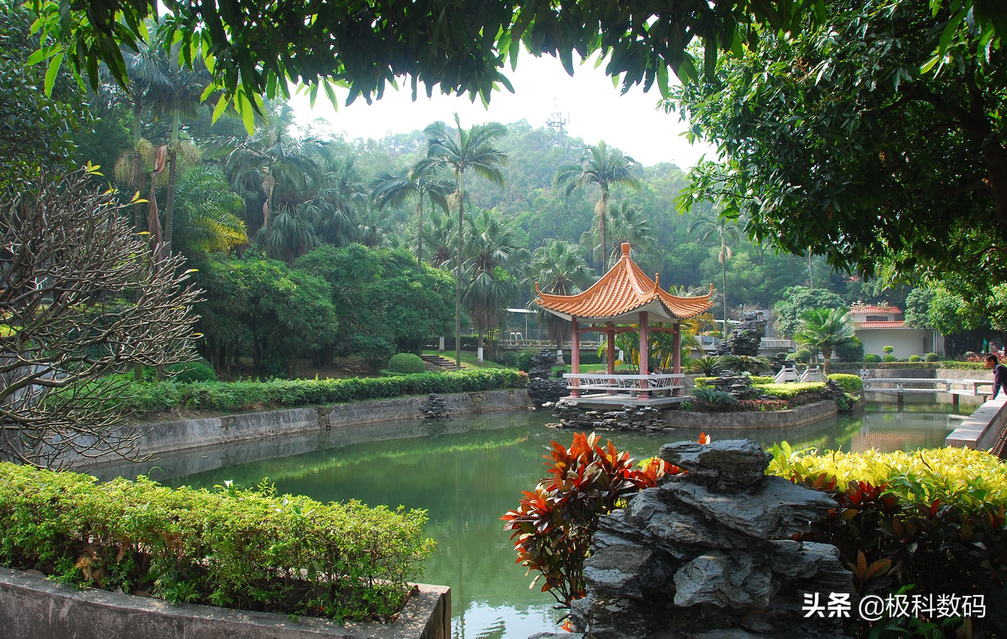 舒乐氏无雾加湿器怎么清洗,舒乐氏蓝海无雾加湿器效果怎么样