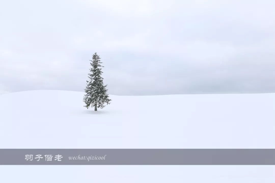 日本10天自由行费用北海道,东京北海道5日自由行攻略