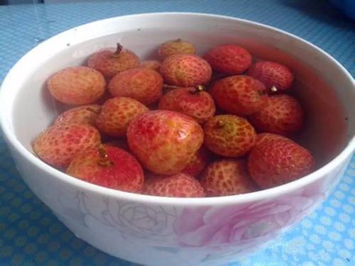 常见荔枝的区别与口感,荔枝是籽小的好还是籽大好