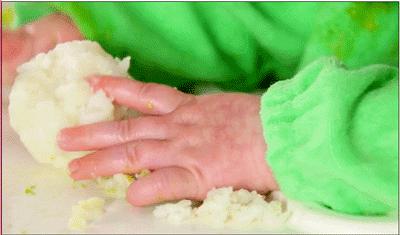 手指食物全解析,90种手指食物一篇教你全搞定