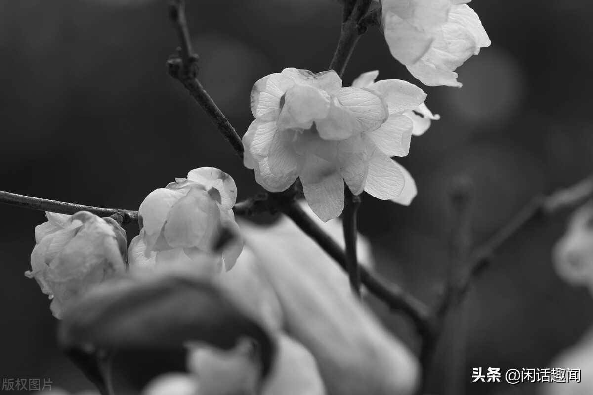 10条关于河南的冷知识,河南冷知识大全图解