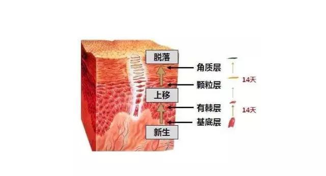 去除高原红红血丝最快的方法,怎么区分高原红和红血丝