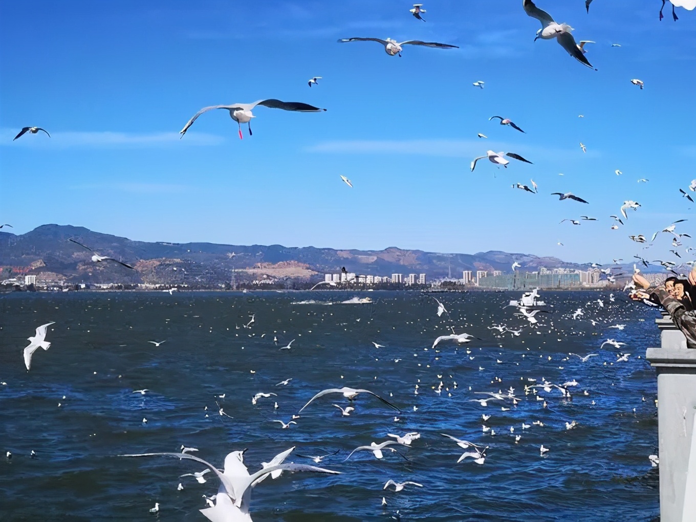 11-12月十大必去旅行地,12月高性价比的旅游地