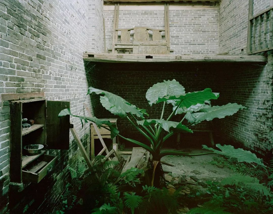 一个泉州小伙的中国荒村启示录