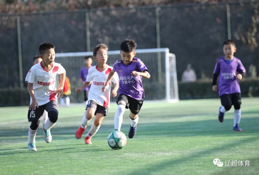 傅博中超中甲执教经历,中国足球教头傅博