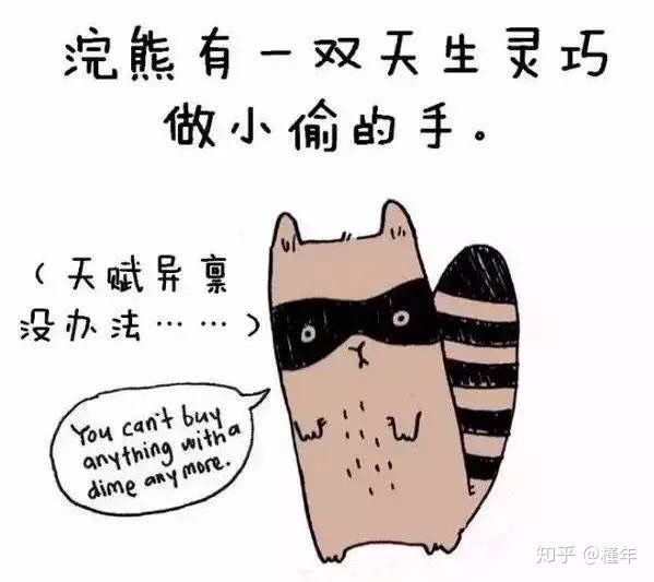 想象中不一样的动物冷知识,悲伤的动物视频