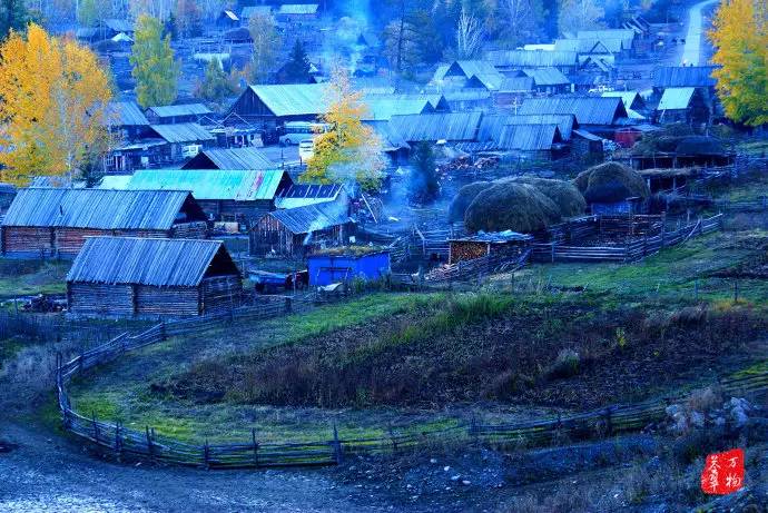 中国鸡尾,中国鸡尾巴