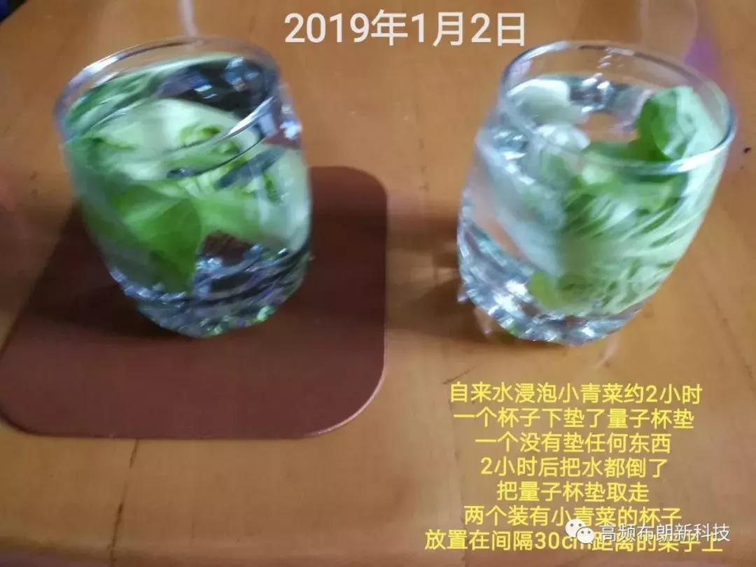 三域高频布朗能量腰带多少钱,三域高频布朗如何加盟