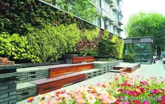 成都国家公园城市建设,开启成都创新型城市发展新征程