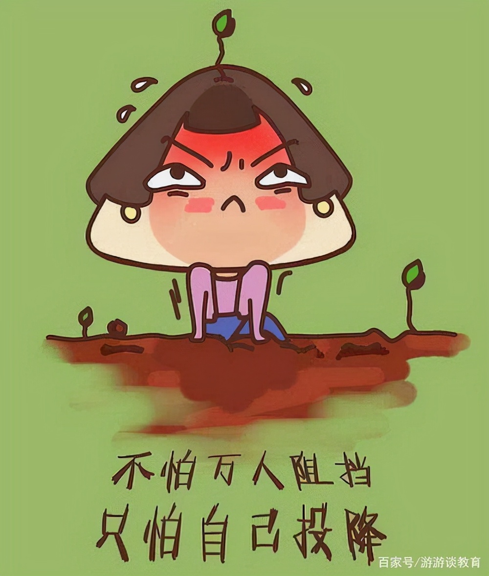 鸡娃的事例,鸡娃真实故事大全