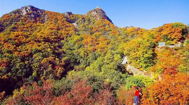 天津旅游攻略自然风景,天津自然风光景点有哪些地方