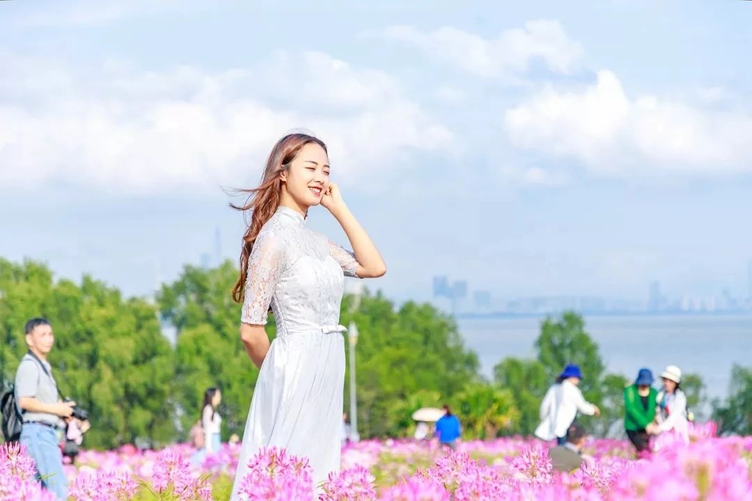 深圳二号线沿线有哪些景点游玩,深圳9号线沿途好玩的地方推荐