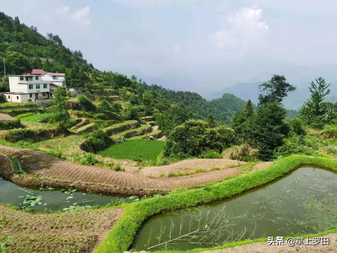 梦里是江南水乡，没曾想，却恋上罗田这个村