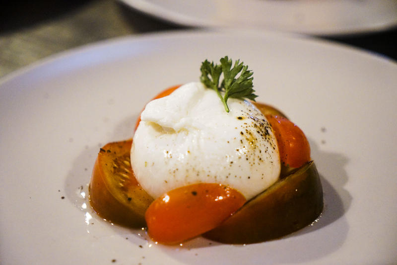 从天空到海洋到大地的视频,从天空到海底绘本