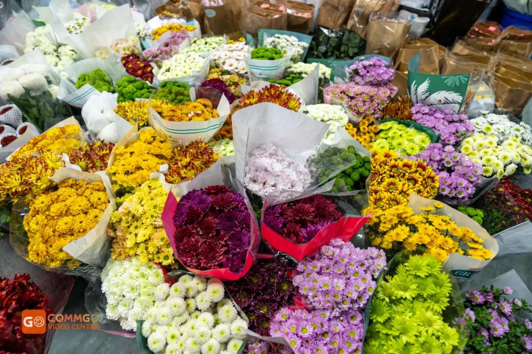 重庆最大的花市在哪里,重庆花市排名前十名