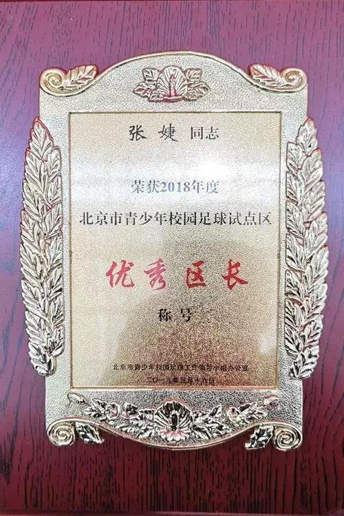 北京市丰台区中小学足球联赛,2018年中小学生丰台区足球联赛