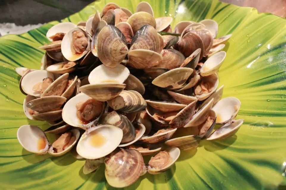 史上最全海鲜视频,史上最全海鲜贝类大全