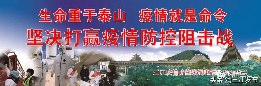 三江金奖茶,中国早春第一茶三江茶