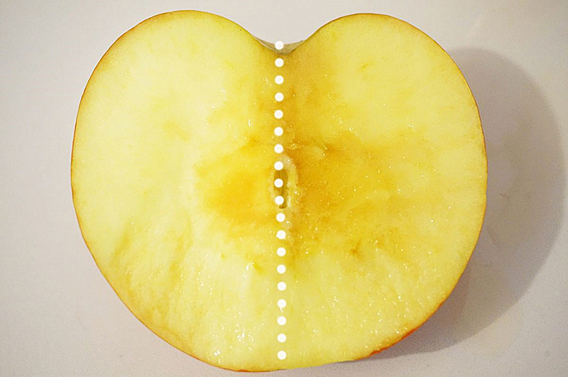 daile黛珂紫苏精华水怎么样,黛珂保湿精华排行榜