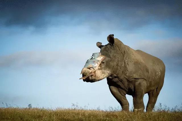 只为一串佛珠，他活剥了我妈的皮：人心有多可怕，你根本想象不到