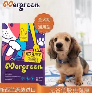 成为一名能读懂‘狗语’的铲屎官