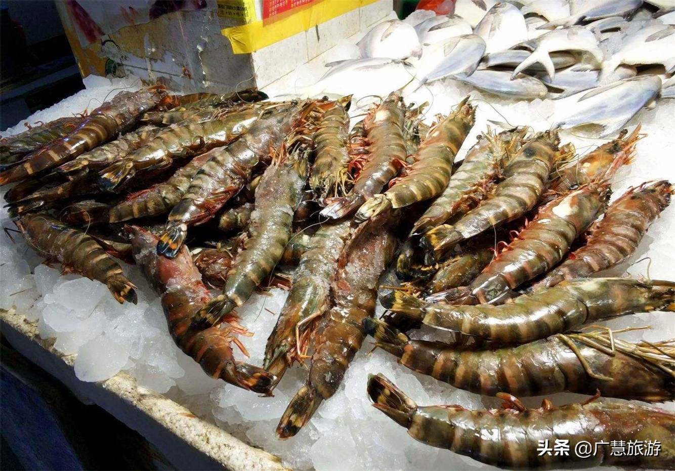 日照岚山吃海鲜比较实惠的地方,在日照旅游去哪里吃海鲜最划算