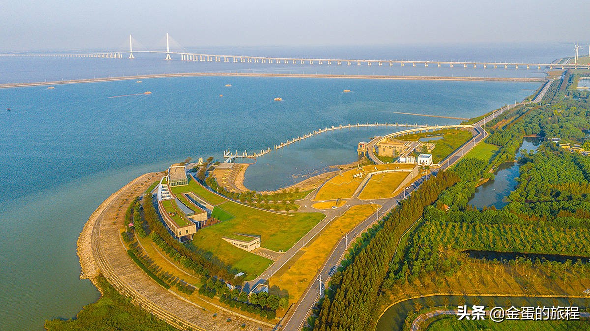 不出上海有哪些地方旅游,不出上海玩的景点排行榜