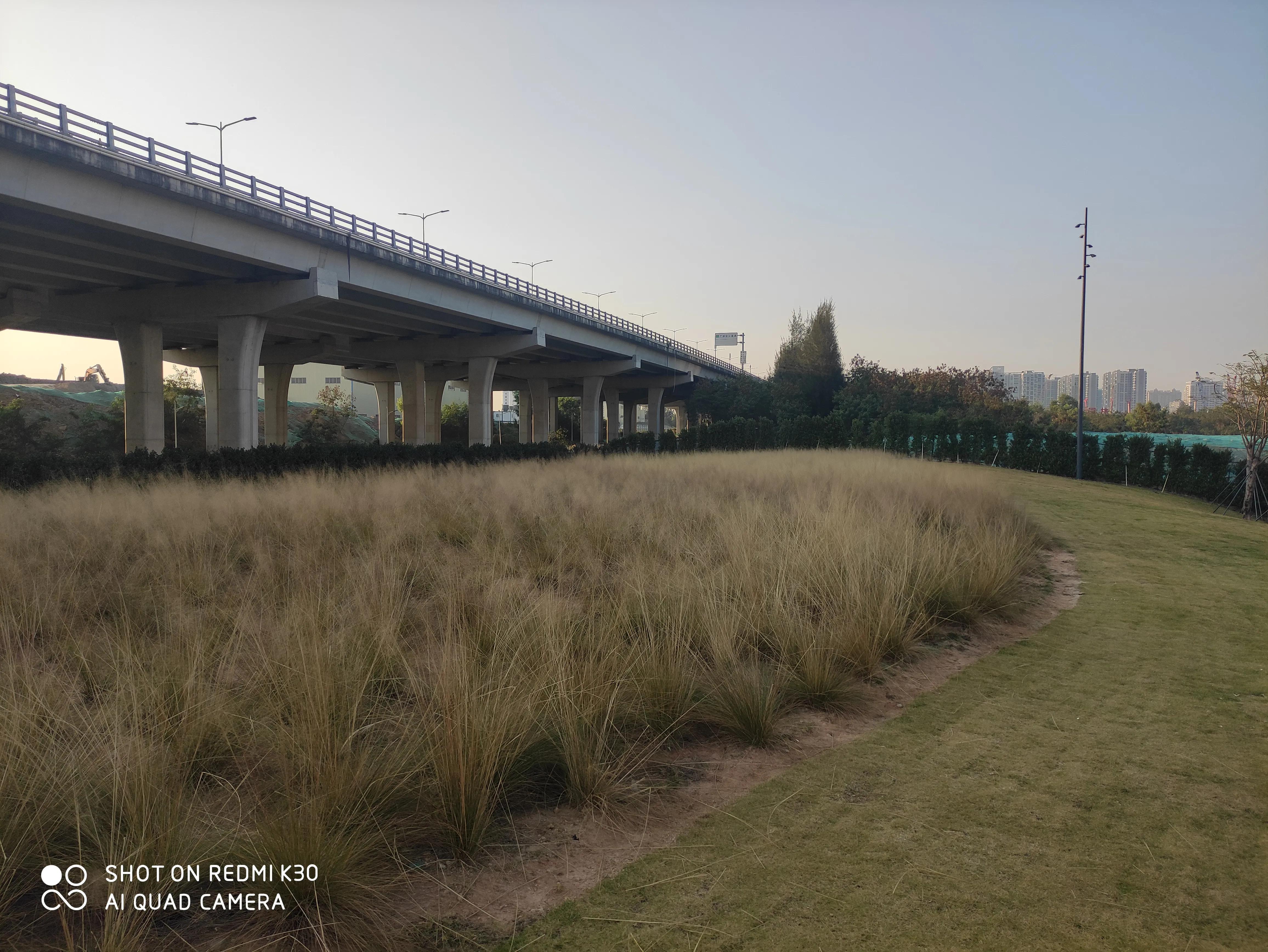 跟一个会所技师的爱情故事3