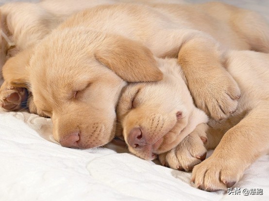 广马迎来好天气，赛前一天做好这个让你以最佳状态实现PB